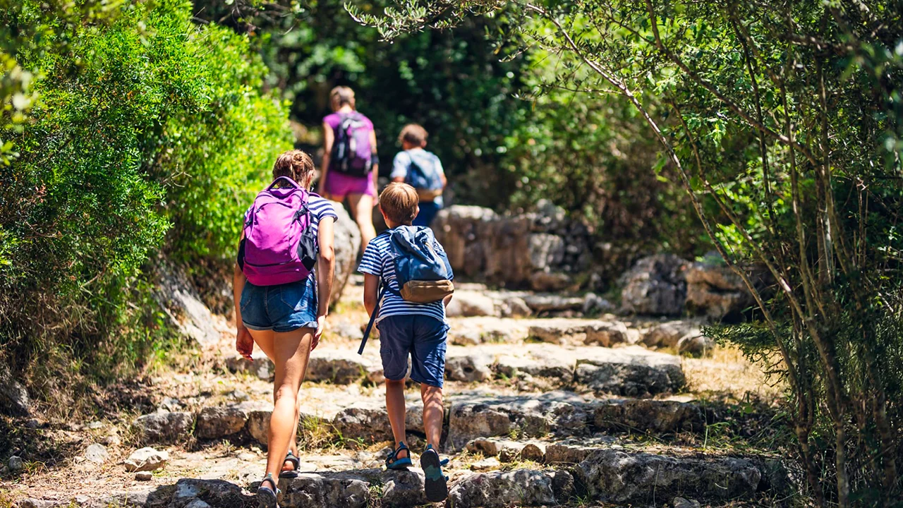 Family-Friendly Attractions Near Fredericksburg