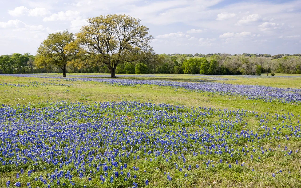 Promotional Offers at SKYE Texas Hill Country RV Resort